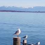 Marie Bubendorff - Facebook