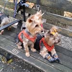 Marie A Bucek - @marieabucek - Instagram