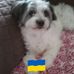 Marie Buckley - Facebook