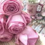 Marie Buckley Ryan - @marie.ryan.5015 - Instagram