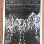 @mariebulle1969 - Instagram