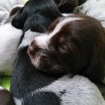 Marie Burman - @marbur70 - Instagram