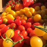 Jean-Marie Buxton - @farmetteoregon - Instagram
