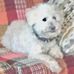 Marie Cagle - Facebook