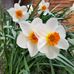 Marie Cagle - Facebook