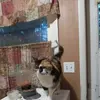 Mary Carnes - @mary.carnes - TikTok
