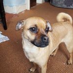 marie carruthers - @carruthmarie - Instagram