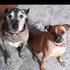 mariecarruthers1 - @mariecarruthers1 - TikTok