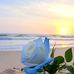 Marie Casas - Facebook