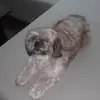 Catherine - @mariecatesaldi - TikTok