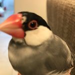 M Kita - @mariecham410 - Instagram
