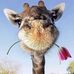 Marie Champey - Facebook