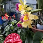 Marie Chartier - Facebook