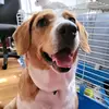 mariechartie713 - @mariechartier703 - TikTok