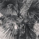 annabelle marie cheney - @annabelle_marie_cheney - Instagram