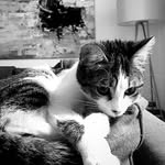 Marie - @marie_cipolla_simon - Instagram