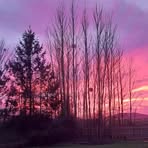 Marie Clack - Facebook