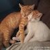 Kim Clanton - Facebook