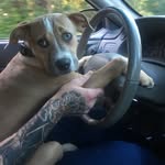 Lillian Marie Clanton - @crazy_girl_619 - Instagram
