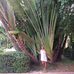Marie Coates - Facebook