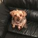 Marie Coates - Facebook