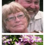 Marie Wardrip coates - @mariewardrip - Instagram
