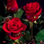 Marie Coble - Facebook
