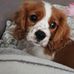 Marie Cody - Facebook