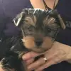 mariecolombo276 - @mariecolombo276 - TikTok