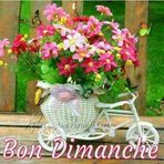 Marie Compere - Facebook