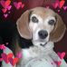 Marie Cone - Facebook