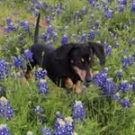 CONEY - @coney.marie.yawn - Instagram