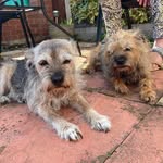 Dawn Marie Conlon - @dawn.m.conlon.1 - Instagram