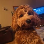 Marie Conlon - @marie_conlon4 - Instagram