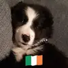 Marie Conlon - @marie.conlon4 - TikTok