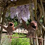 Ann Marie Conrad - @ann.marie.here - Instagram