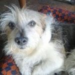 Marie Corbonnois - @marie__.com_ - Instagram