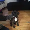 mariecoss83 - @mariecoss83 - TikTok