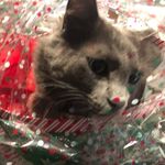 Jacqueline Marie Costello - @jcostello28 - Instagram