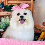 @marie_cota2015 - Instagram