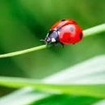 Marie Cotau - @marie_cotau - Instagram