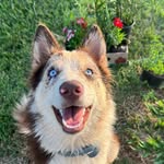 Mariecota - @dakota.rural - Instagram