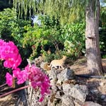 Marie odile Coudert Antonelli - @vinhasperdidas_marvao - Instagram