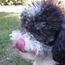 Marie Crain - Facebook