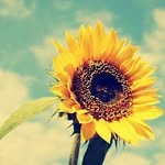 Marie Crew - @m_a_r_i_e_6_6_7_8 - Instagram