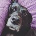 Marie Crew - Facebook