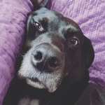 Marie Crew - @mcrew13 - Instagram