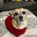 Mary Danforth - Facebook