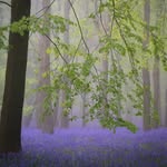 Marie Davey - @marie_davey_photo - Instagram