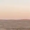 mariedavi_ - @roseal.5 - TikTok